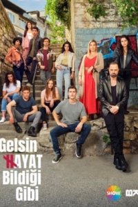 Жизнь как она есть турецкий сериал 33 серия