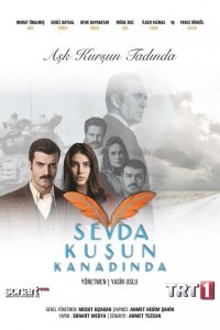 Любовь на крыльях птицы турецкий сериал 24 серия