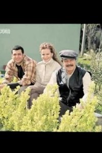 Мои дети / Моя семья турецкий сериал 40 серия