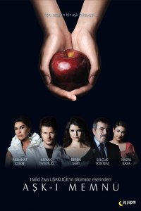 Подробнее о турецком сериале «Запретная любовь»