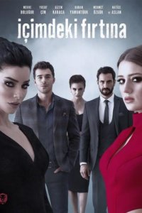 Буря внутри меня турецкий сериал 5 серия