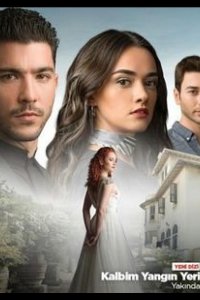 Подробнее о турецком сериале «Огонь в моем сердце»