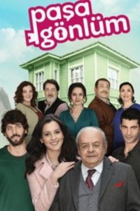 Слуга моего сердца турецкий сериал 2 серия